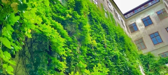 2غرفة شقة في Neubau, Austria رقم 217327 7