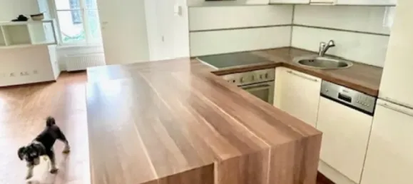 2غرفة شقة في Neubau, Austria رقم 217327 17