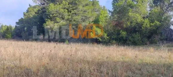 Terrain à Gard, France 20348m² No. 323768 3