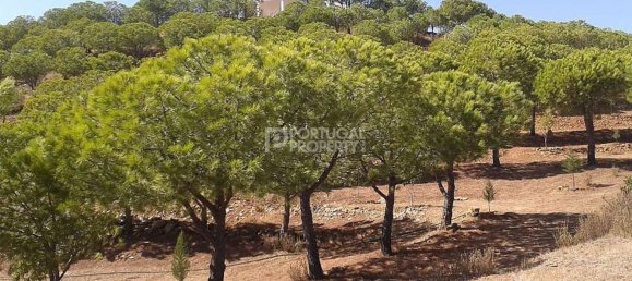 2 bedrooms House in Tavira, Portugal No. 57294 31