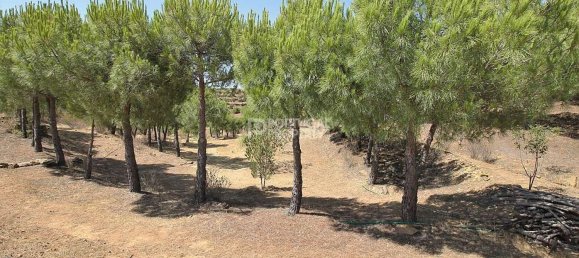 2 bedrooms House in Tavira, Portugal No. 57294 11