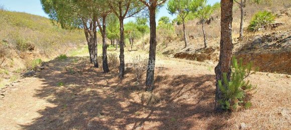 2 bedrooms House in Tavira, Portugal No. 57294 10