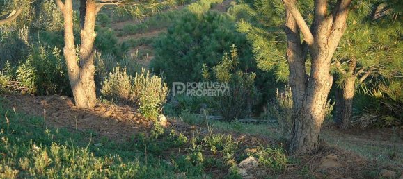 2 bedrooms House in Tavira, Portugal No. 57294 3