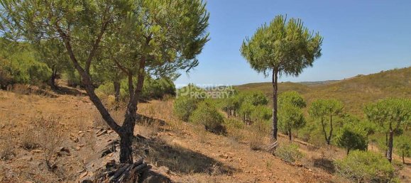 2 bedrooms House in Tavira, Portugal No. 57294 37