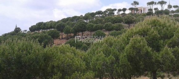 2 bedrooms House in Tavira, Portugal No. 57294 5