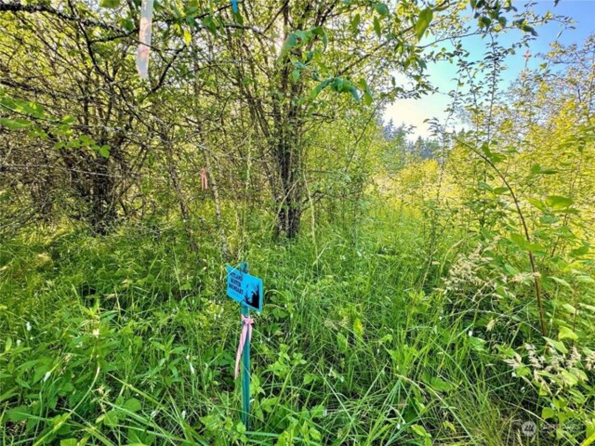  Land in Tacoma, USA No. 477618