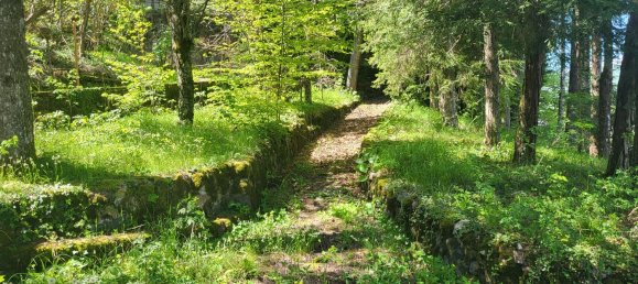 11غرفة فيلا في Rezzoaglio, Italy رقم 278823 12