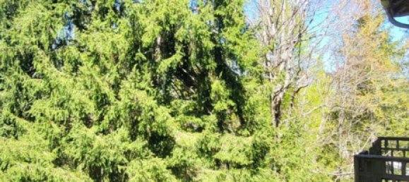 11غرفة فيلا في Rezzoaglio, Italy رقم 278823 45