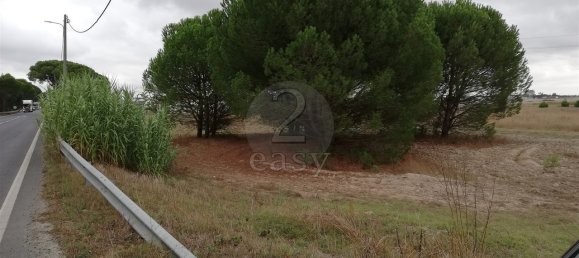 Terrain à Canha, Portugal 29670m² No. 72349 13