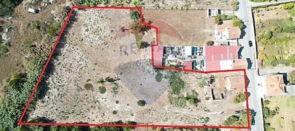 Дом с 4 спальнями в Сан Педру, Португалия № 31298 9