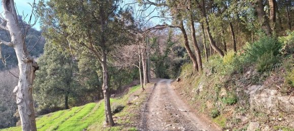 11-Zimmer Haus in Pescaglia, Italy, Nr. 178092 8