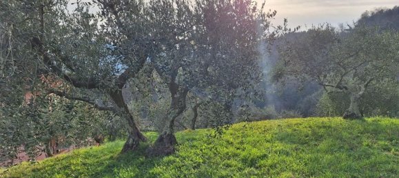 11-Zimmer Haus in Pescaglia, Italy, Nr. 178092 33