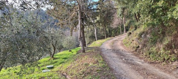 11-Zimmer Haus in Pescaglia, Italy, Nr. 178092 12