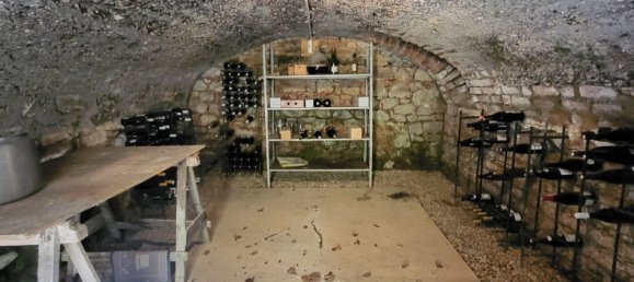 4 chambres Maison à Saint-Berain-sous-Sanvignes, France No. 53836 11