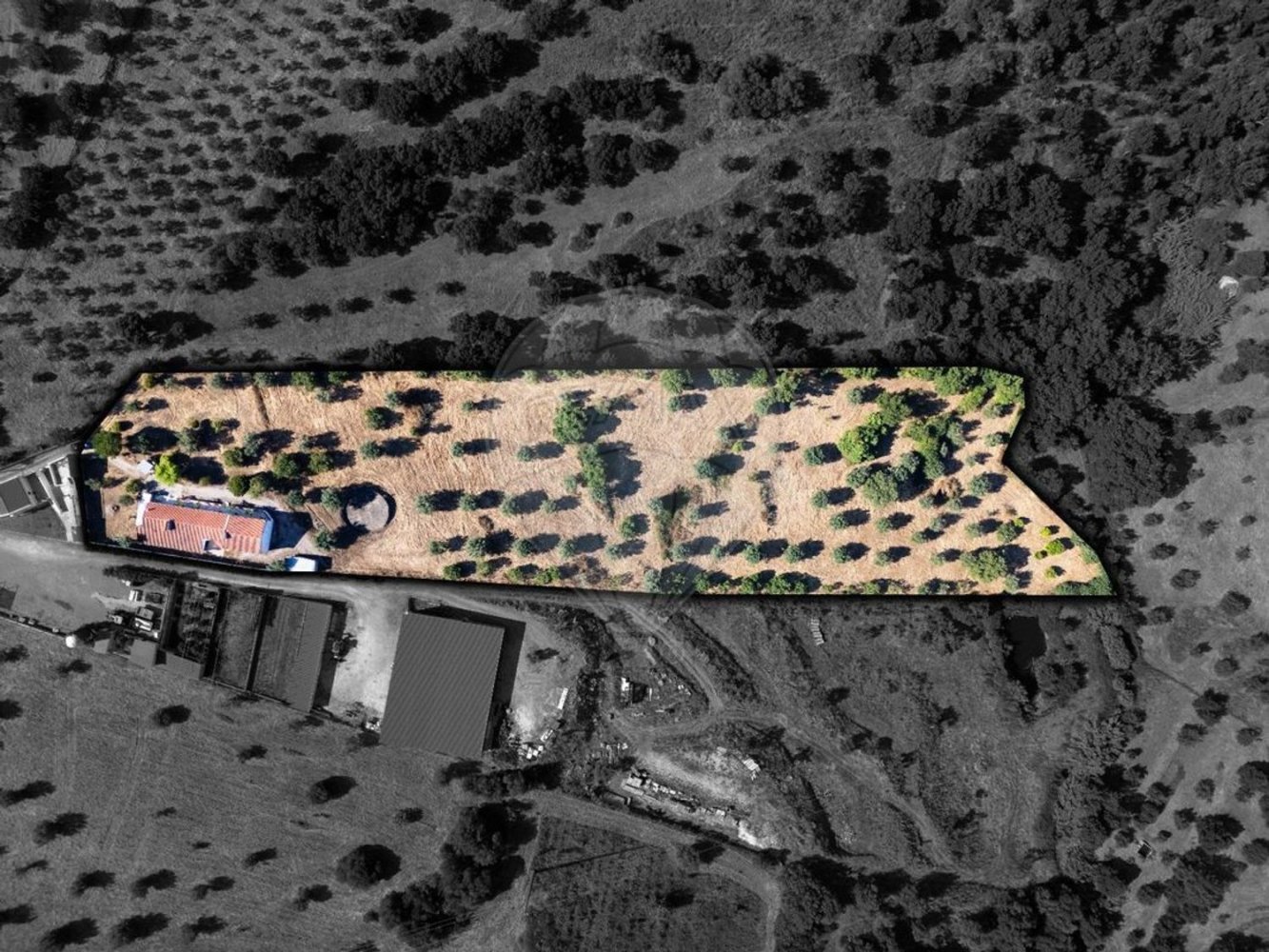 1 bedroom House in Mouriscas, Portugal No. 248514