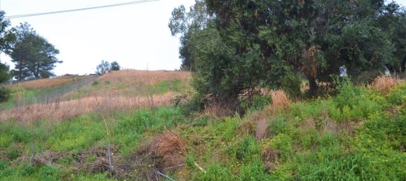 2522m² Hotel in Corfu, Greece No. 4216 19