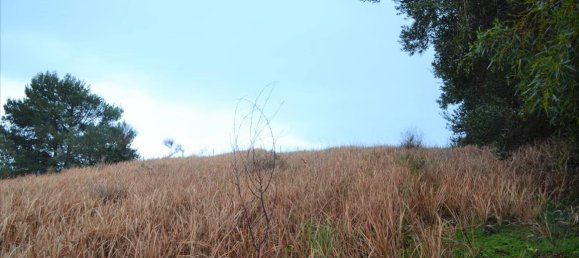 2522m² Hotel in Corfu, Greece No. 4216 12