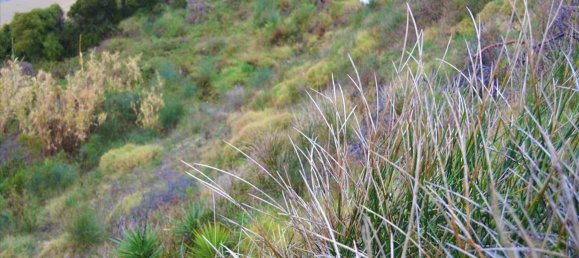 2522m² Hotel in Corfu, Greece No. 4216 4