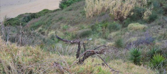 2522m² Hotel in Corfu, Greece No. 4216 5