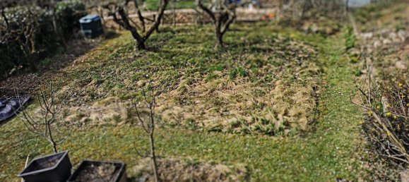 Grundstück in Karlsruhe, Germany, Nr. 362991 3