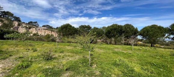 5 bedrooms House in Sesimbra, Portugal No. 138221 33