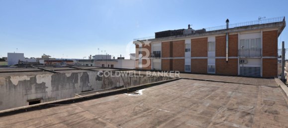 2 rooms Commercial property in Presicce Acquarica, Italy No. 63516 15