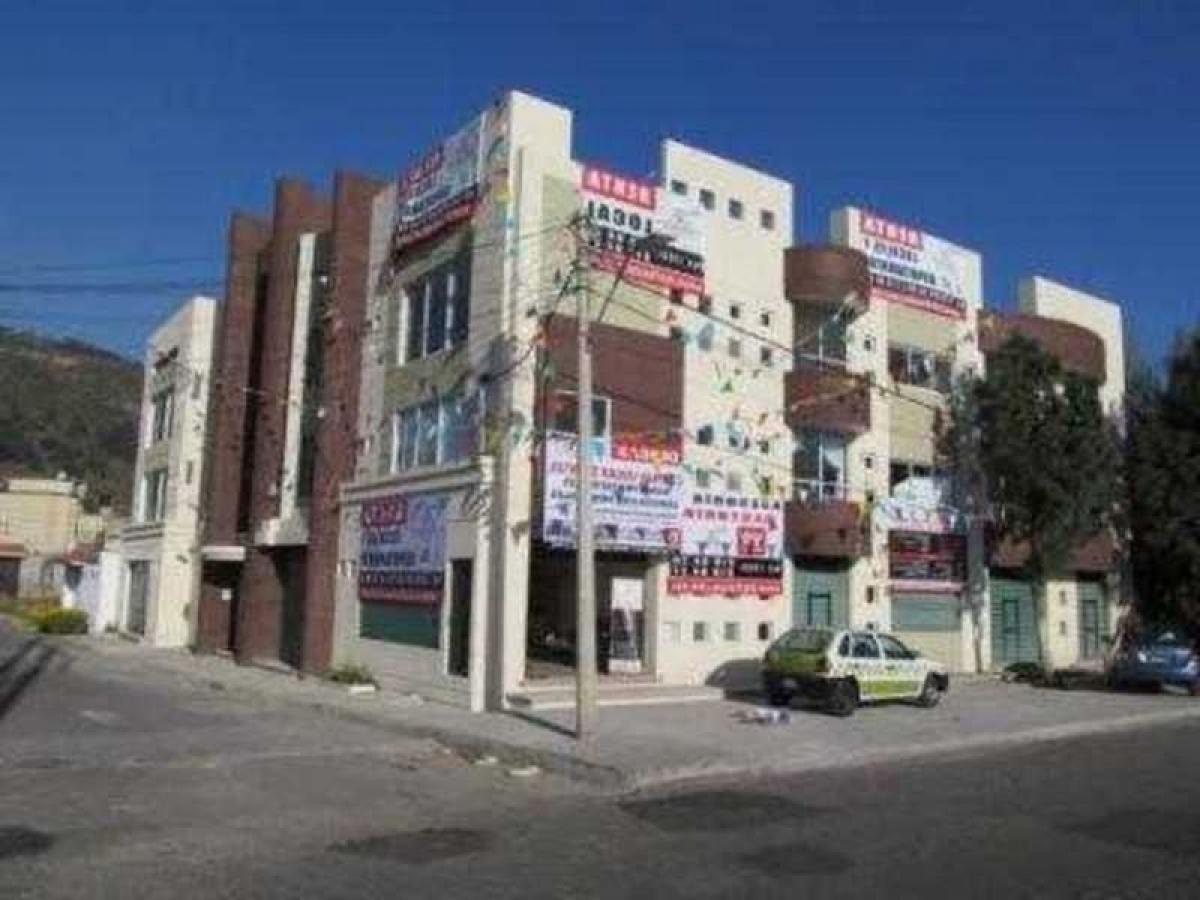 650m² Building in San Buenaventura, Mexico No. 201052