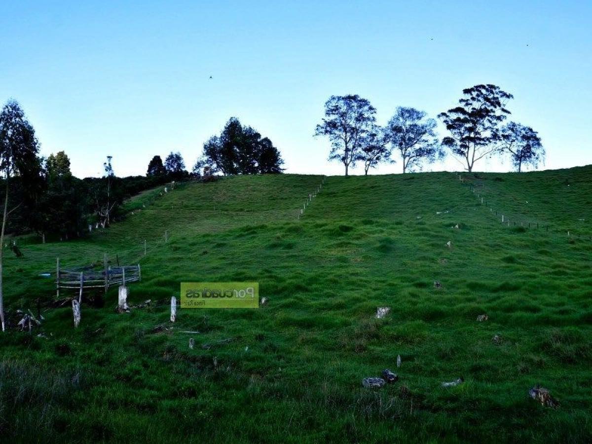  Land in Antioquia, Colombia No. 660