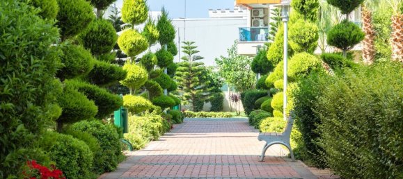 2 rooms Apartment in Oba, Turkey No. 21386 2