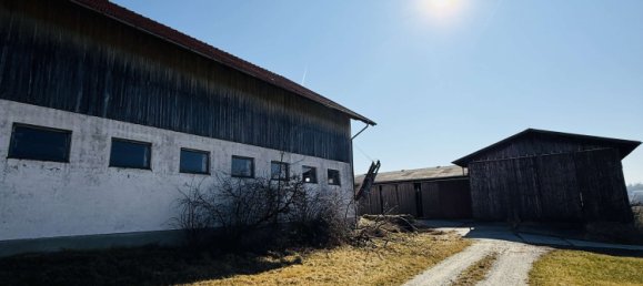 6 bedrooms Farm in Rottal-Inn, Germany No. 125778 13