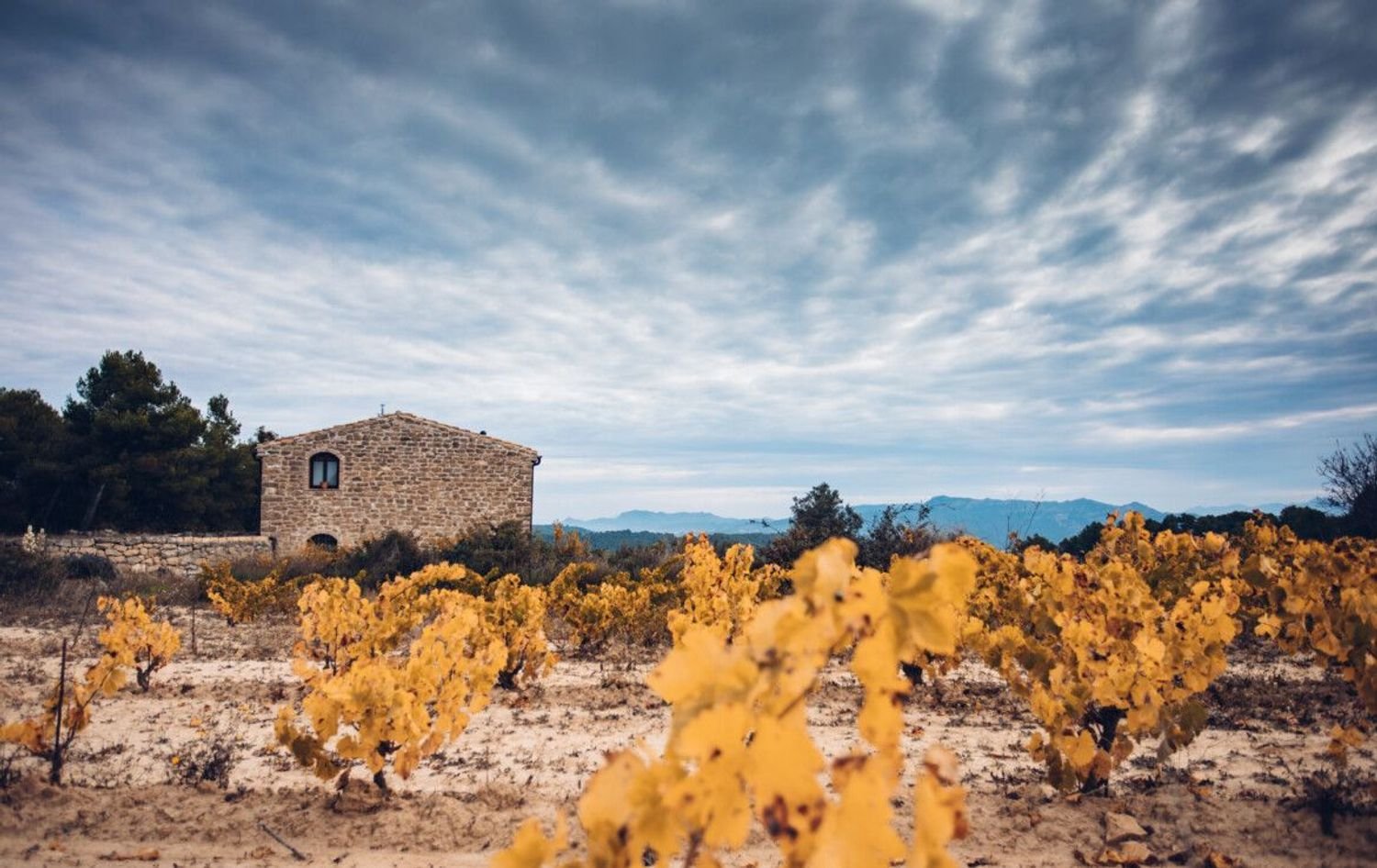 Casa de 4 dormitorios en Tarragona, Spain No. 159271
