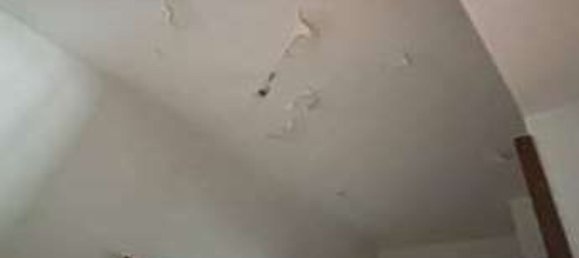 4-Zimmer Wohnung in Cortenova, Italy, Nr. 197146 33