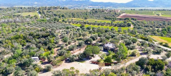 Casa T2 em Peralada, Spain N.º 78397 18