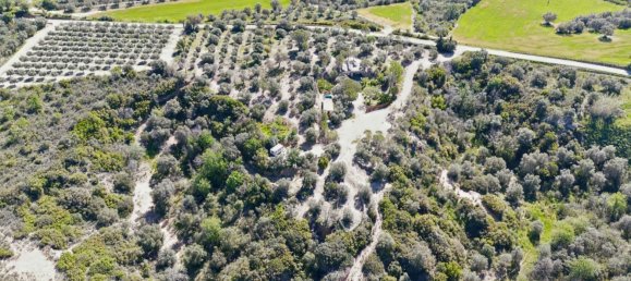 Casa T2 em Peralada, Spain N.º 78397 21