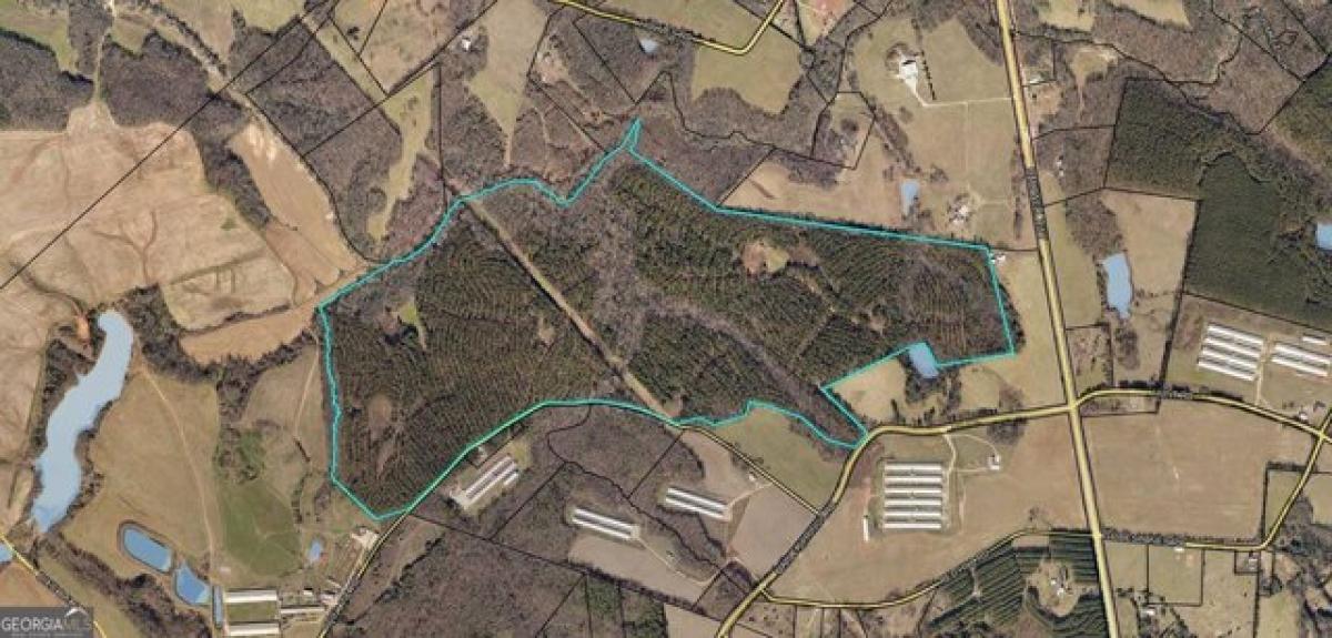  Land in Dewy Rose, USA No. 539781