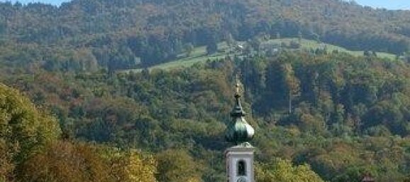 Земельный участок 1630м² в Зальцбург, Австрия № 168840 3