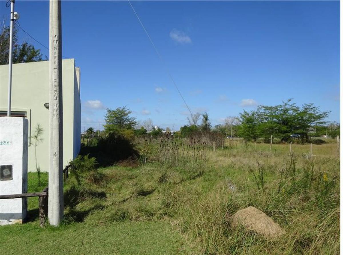  Land in Chascomus, Argentina No. 33110