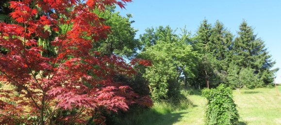 Casa de 7 divisões em Saalfeld-Rudolstadt, Germany N.º 202812 25