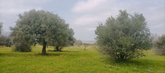 9164m² Land in Syracuse, Italy No. 243966 5