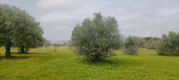 9164m² Land in Syracuse, Italy No. 243966 3