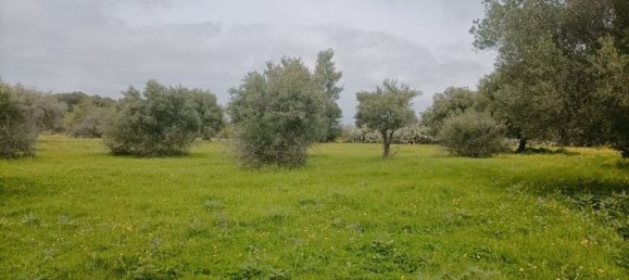 9164m² Land in Syracuse, Italy No. 243966 4
