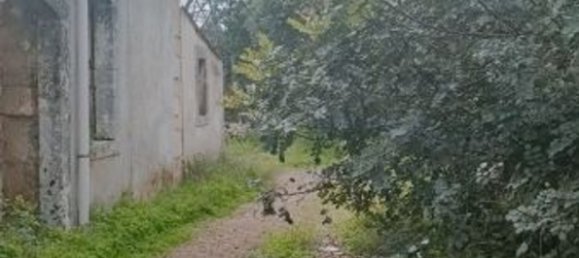 9164m² Land in Syracuse, Italy No. 243966 2