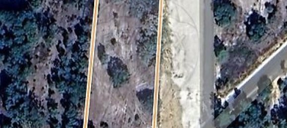 2 bedrooms House in Ponte de Sor, Portugal No. 20229 21