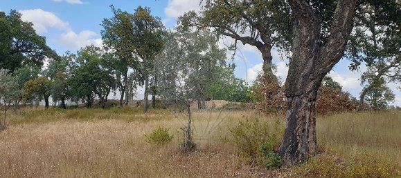 2 bedrooms House in Ponte de Sor, Portugal No. 20229 13