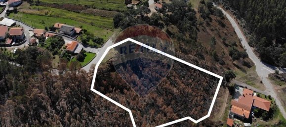Terreno en Sever do Vouga, Portugal 8750 m² No. 76212 5