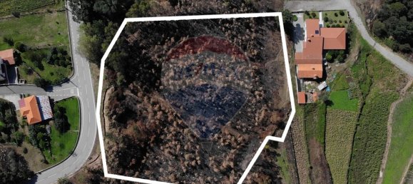 Terreno en Sever do Vouga, Portugal 8750 m² No. 76212 9