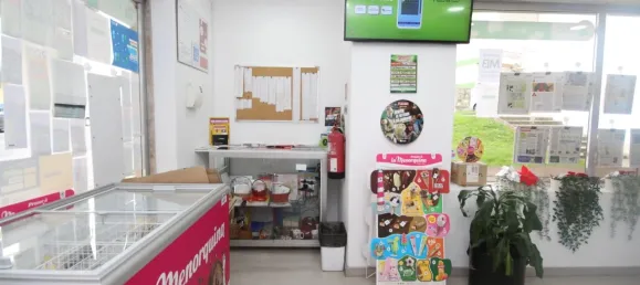 41m² Commercial property in Rio de Mouro, Portugal No. 126666 22