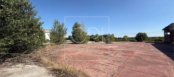 Коммерческая недвижимость с 10 комнатами в Алессандрия, Италия № 320385 13