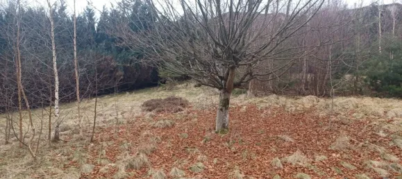 Grundstück in Gerardmer, France 867m², Nr. 352394 2