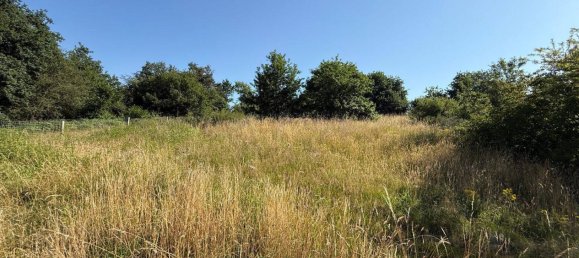 Terrain à Bernkastel-Wittlich, Germany No. 263940 5